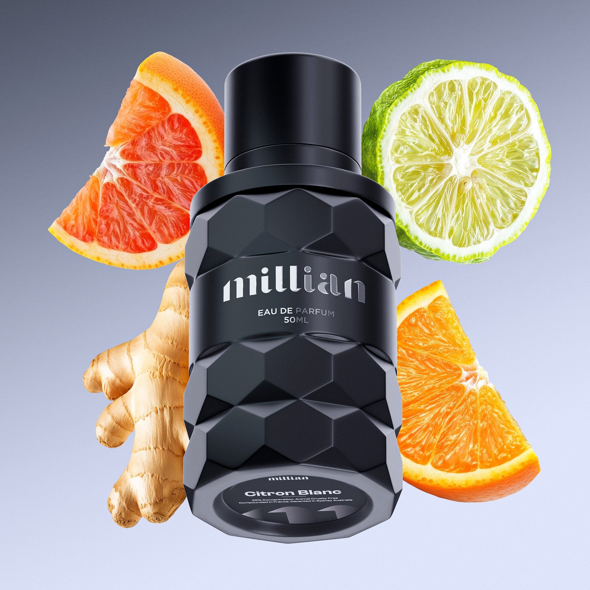 Citron Blanc LV's Symphony