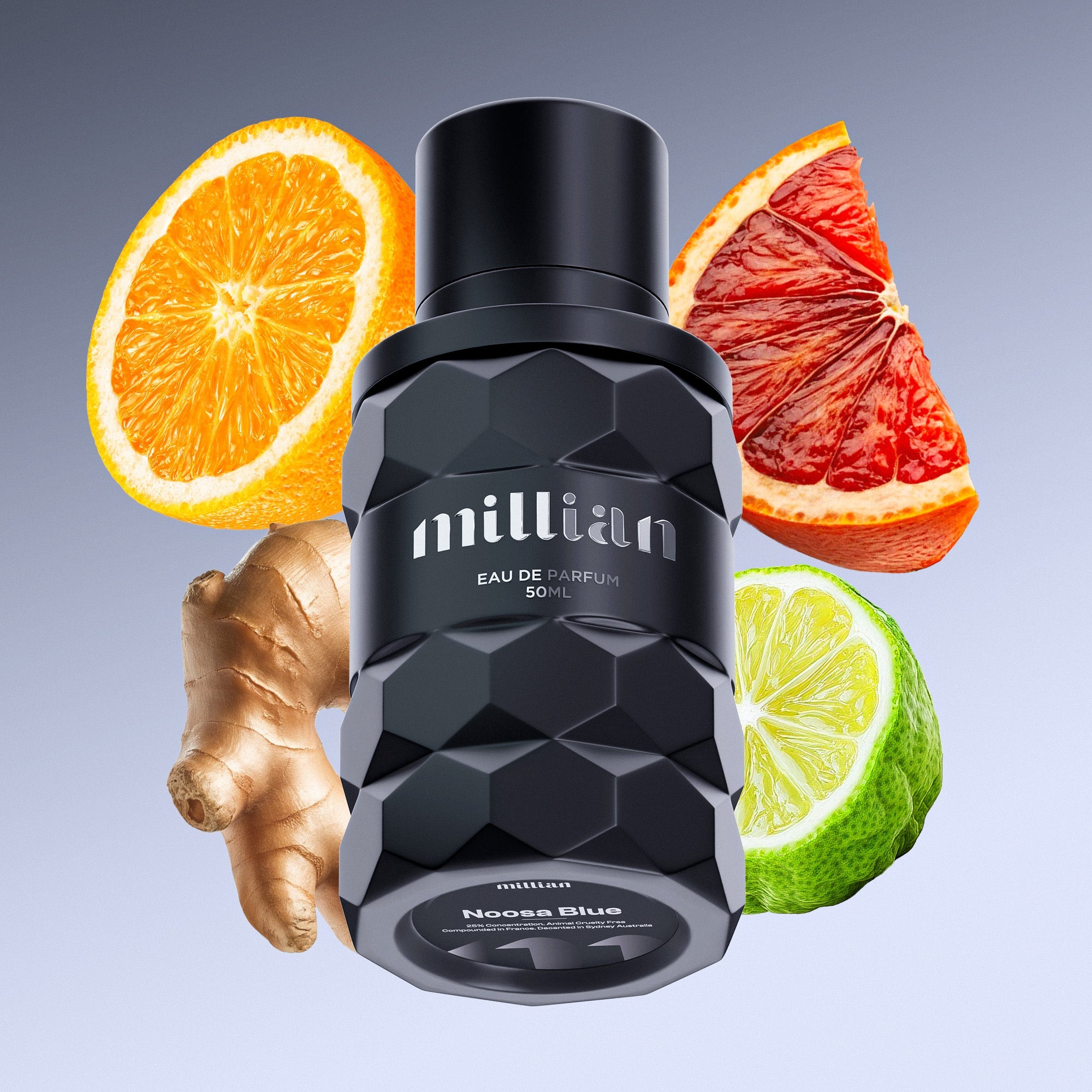 Noosa Blue LV's Afternoon Swim