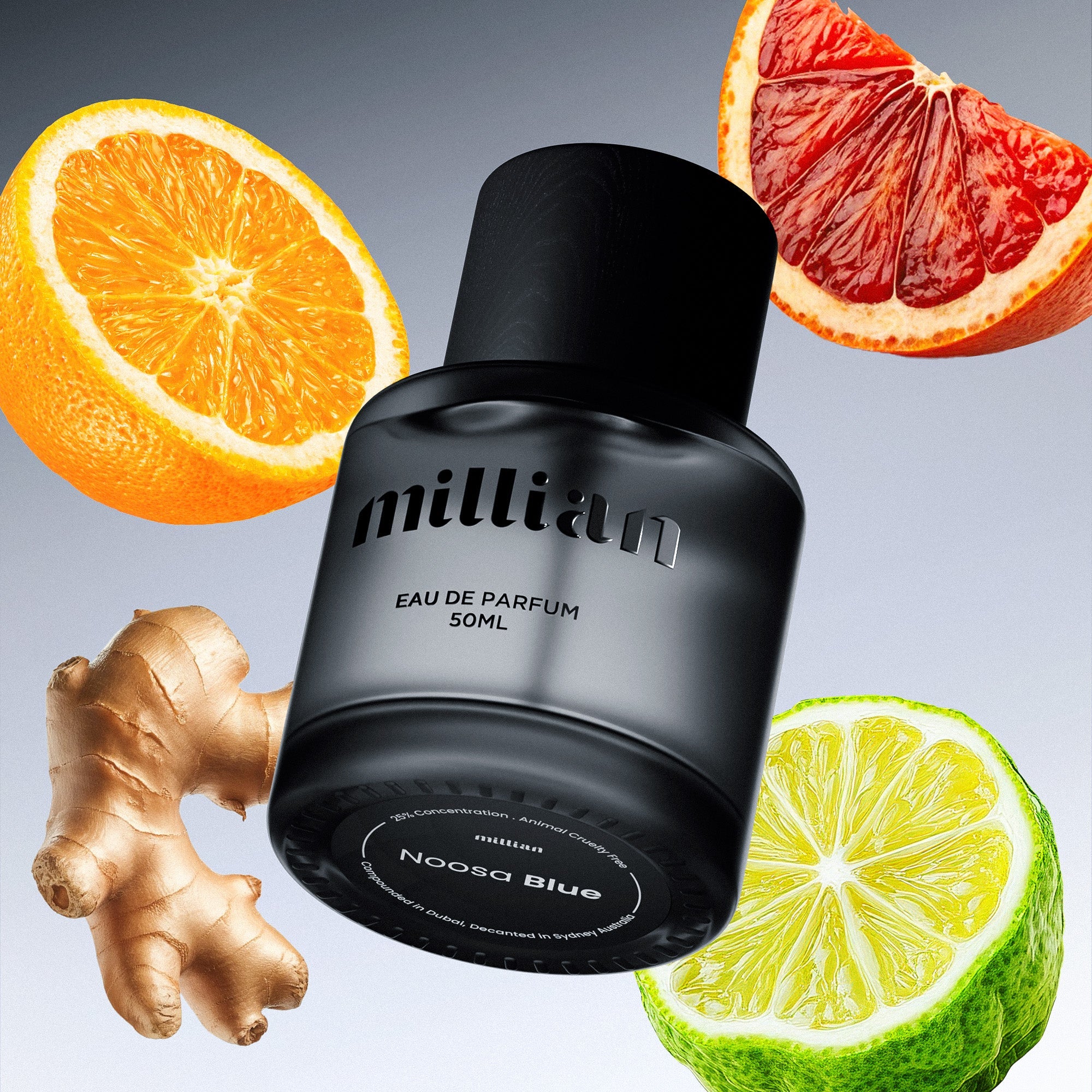 Noosa Blue LV's Afternoon Swim