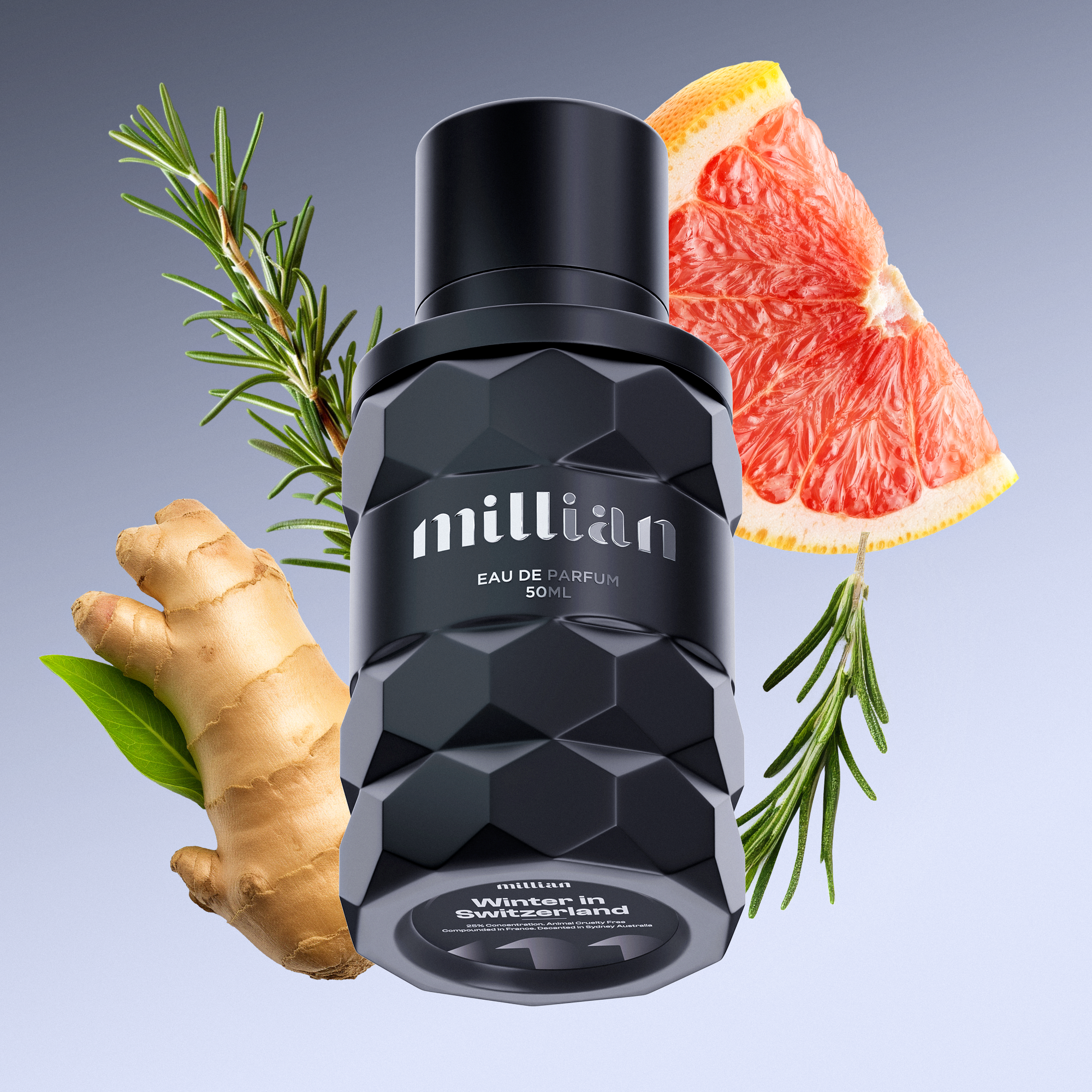 Winter in Switzerland LV's L'Immensité